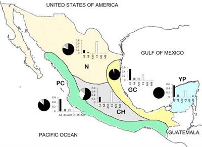 The Process and Outcome of the Africanization of Honey Bees in Mexico: Lessons and Future Directions